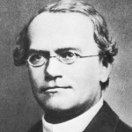 Are Mendel’s Data Reliable? 